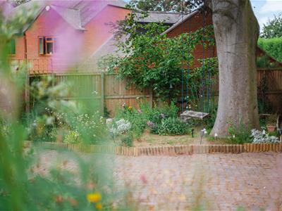 Picture 37